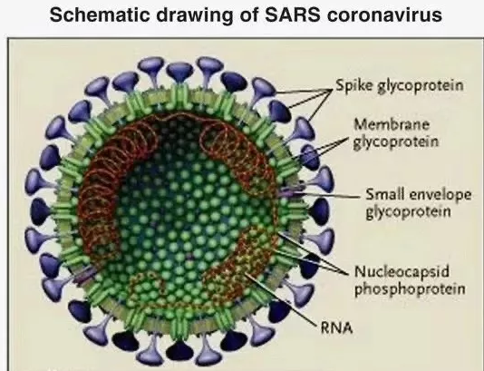 1579664921247256.png image.png