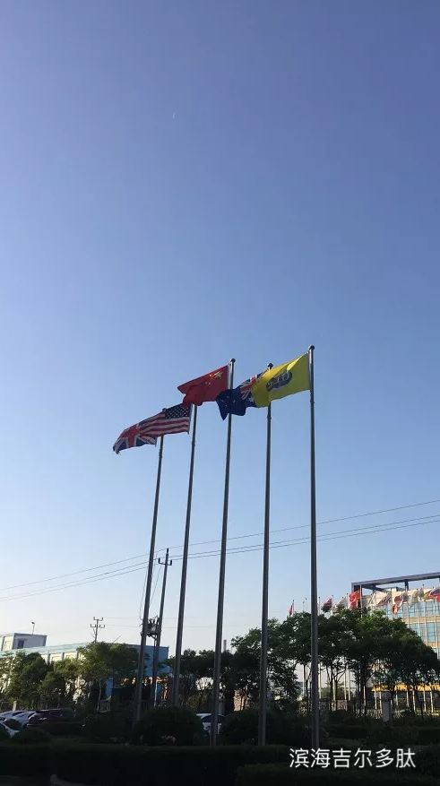 1579665033722386.png image.png